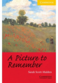 A Picture to Remember