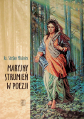 Maryjny strumień w poezji