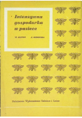 Intensywna gospodarka w pasiece