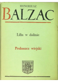 Lilia w dolinie / Proboszcz wiejski