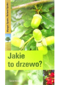 Jakie to drzewo