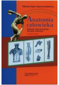 Anatomia Człowieka Tom 2
