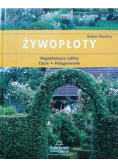 Żywopłoty