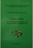 Niedanowo. Ein Gräberfeld der Przeworsk- und Wielbark-Kultur in Nordmasowie
