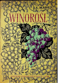 Winorośl