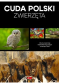 Cuda Polski. Zwierzęta