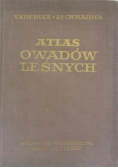 Atlas owadów leśnych