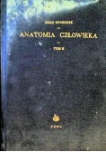 Anatomia człowieka Tom 2