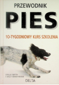 Przewodnik Pies