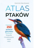 Atlas ptaków