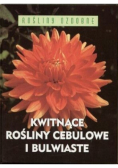 Kwitnące rośliny cebulowe i bulwiaste