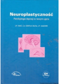 Neuroplastyczność