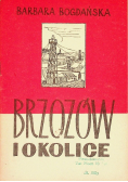 Brzozów i okolice
