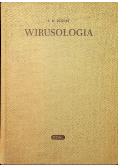 Wirusologia