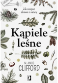 Kąpiele leśne. Jak czerpać zdrowie z natury