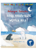 Dokąd niedźwiedzie wędrują nocą