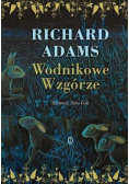 Wodnikowe wzgórze