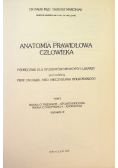 Anatomia prawidłowa człowieka Tom II