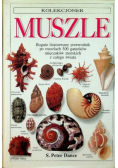Kolekcjoner muszle