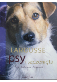 Psy i szczenięta Rasy Zachowanie Pielęgnacja