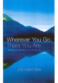 Wherever You Go There You Are