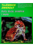 Tajemnice zwierząt Sekrety małych ssaków