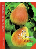 Grusze i pigwa