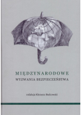Międzynarodowe wyzwania bezpieczeństwa