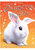Magiczny królik Czarodziejskie przygody