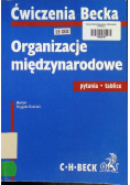 Organizacje międzynarodowe