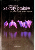 Sekrety ptaków fascynujący świat ptasich zmysłów