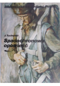 Spadochronowa opowieść