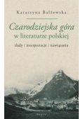 Czarodziejska góra w literaturze polskiej