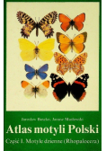 Atlas Motyli Polski  Część 1 Motyle dzienne