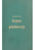 Zdobycie bieguna południowego