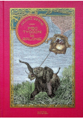 Pięć tygodni w balonie