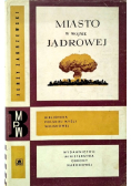 Miasto w wojnie jądrowej