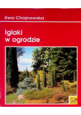 Iglaki w ogrodzie