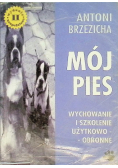 Mój pies