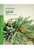 Iglaki