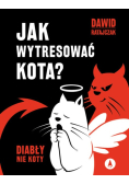 Jak wytresować kota? Diabły nie koty