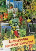 Intensywna uprawa warzyw