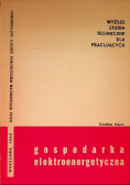 Gospodarka elektroenergetyczna