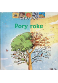 Pory roku