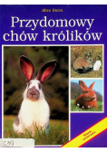 Przydomowy chów królików