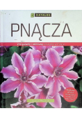 Katolog Pnącza