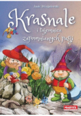Krasnale i  tajemnica zapomnianych pasji