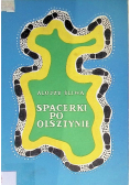 Spacerki po Olsztynie