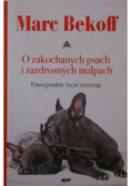 O zakochanych psach i zazdrosnych małpach