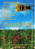Pszczoły leczą